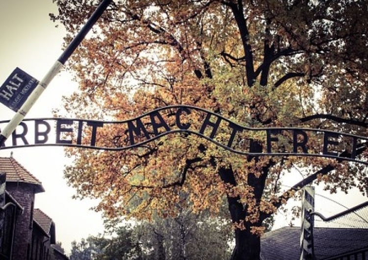  Uroczyste obchody 72. rocznicy wyzwolenia obozu Auschwitz