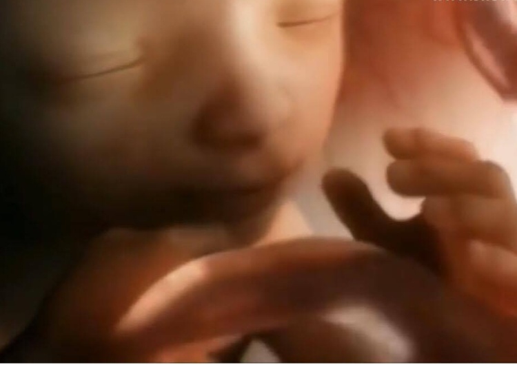Screen Dziś Dzień Świętości Życia. Kościół zachęca do podjęcia duchowej adopcji dziecka poczętego