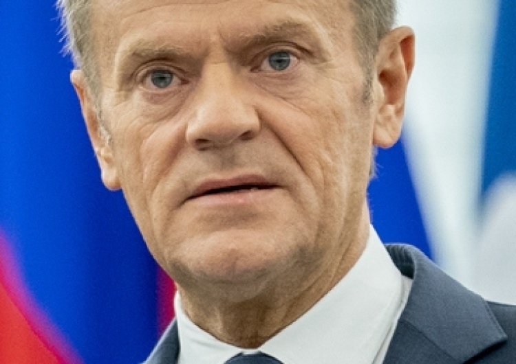 Kompromitacja Donalda Tuska. Chciał zadrwić z "Fortu Trump"
