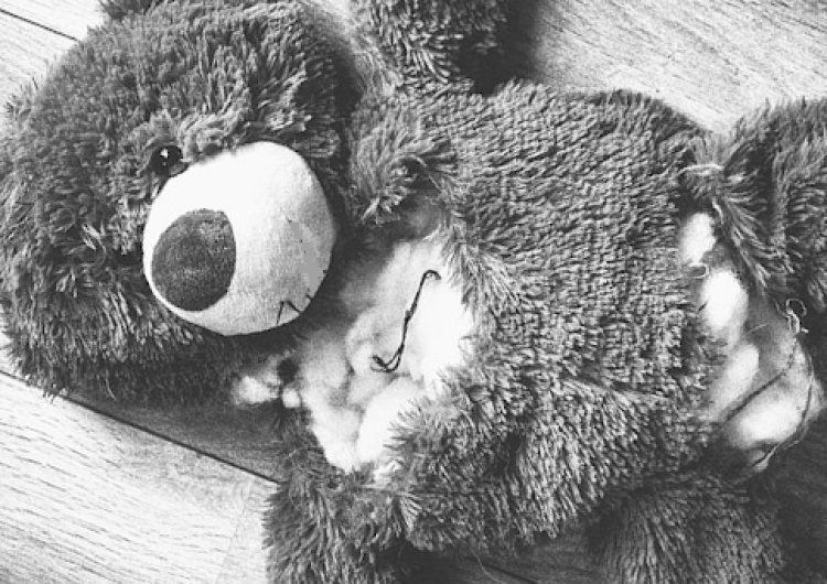 Molestowali niemowlęta. Radzili jak uśpić dziecko. 30 tys. podejrzanych w aferze pedofilskiej w Niemczech