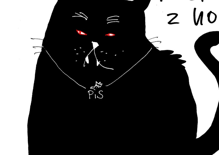 Nowy rysunek Krysztopy "Tak, to moje futro"