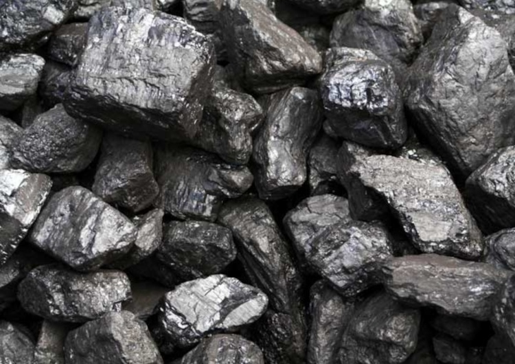 Węgiel Kamienny Sasin: „Dzisiaj 70 proc. energii jest wytwarzane z węgla i tak będzie przez wiele lat”