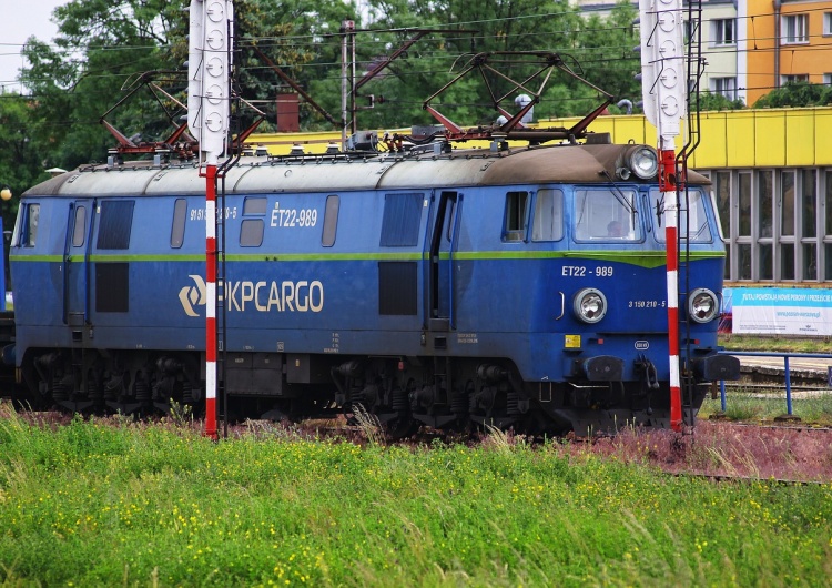 Nawet jedna trzecia pracowników PKP Cargo straci pracę. Zarząd podjął decyzję