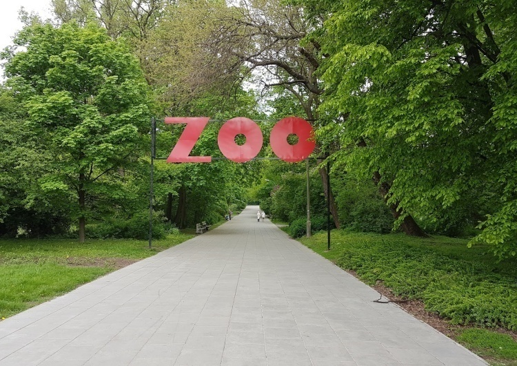 Warszawskie zoo wydało komunikat. "Macie czas tylko do środy"