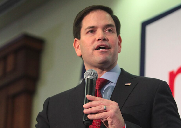 Marco Rubio and Elise Stefanik – Catholics at the forefront of the fresh  US diplomacy