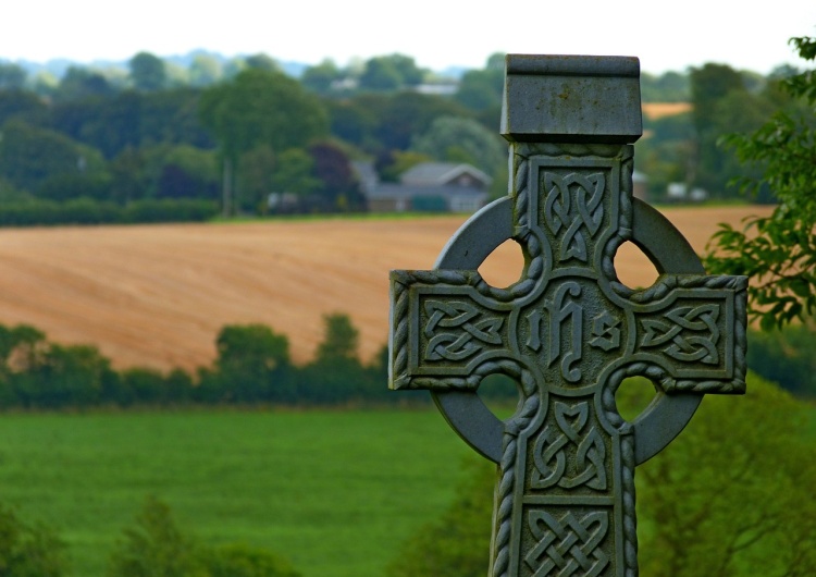 Ireland before the elections: bishops appeal for the defence of the right to life