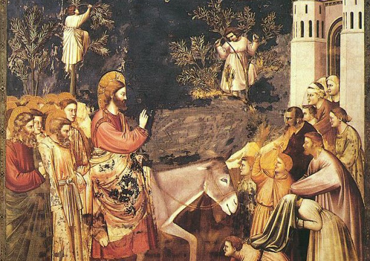 Wjazd Jezusa do Jerozolimy - Giotto di Bondone Niedziela Męki Pańskiej. Niedziela Palmowa. Wjazd Jezusa do Jerozolimy