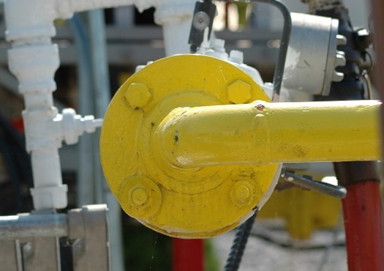 Rura gazowa FT: Dystrybutorzy gazu w Niemczech, Austrii, na Węgrzech i na Słowacji planują spełnić żądania Rosji