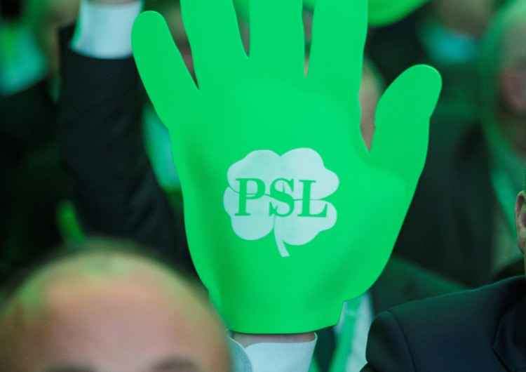 XII Kongres PSL „PSL to najbardziej prorosyjska partia w parlamencie. Przewodniczący Rady Naczelnej to Schroeder polskiej polityki”