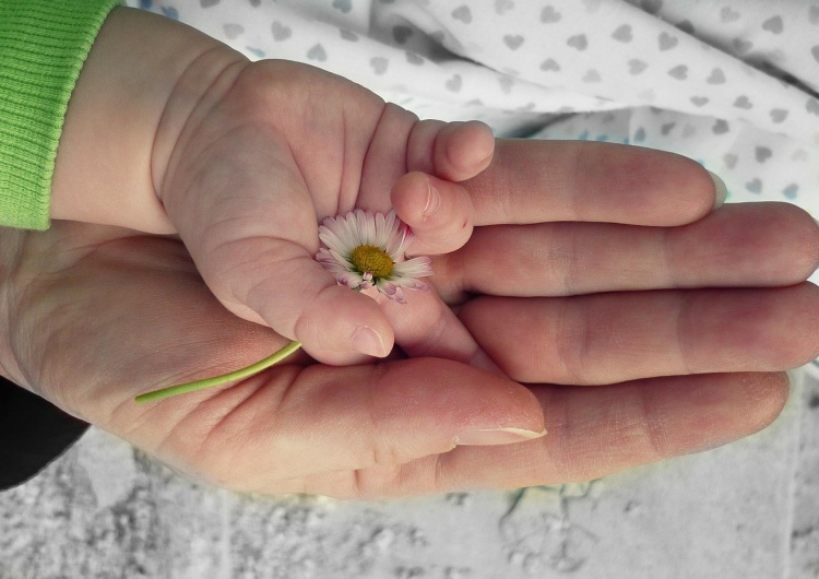 Sto europejskich organizacji pro-life w Brukseli. Dziękowano Polakom za to, że są „duszą i sumieniem Europy”