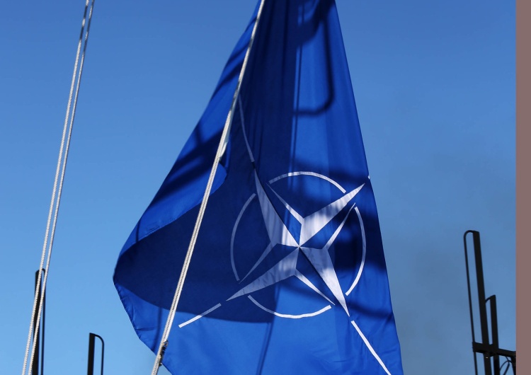 Flaga NATO „Tego chce Putin i to dają mu Francuzi i Niemcy”. „Wall Street Journal” o „sporze wewnątrz NATO”