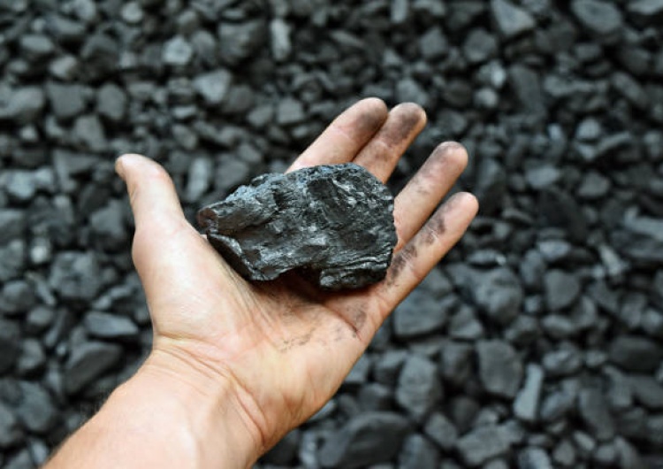  „PGE oczekuje na 8 statków z 700 tys. ton węgla”. Minister klimatu informuje, jakie kraje pomogą Polsce załatać „lukę węglową” po Rosji