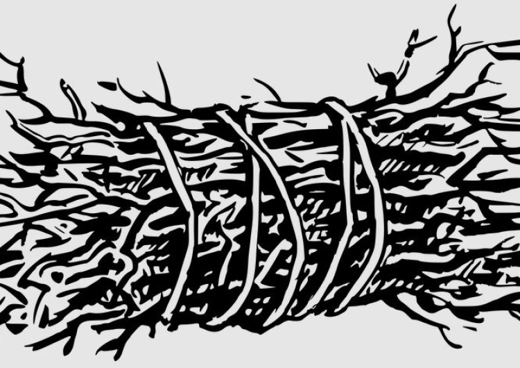 Prawy Sierpowy: Teoria chrustu