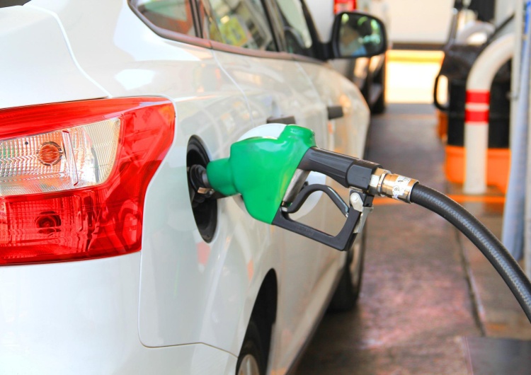  Ekspert: „Politycy nie są w stanie nic już zrobić z cenami paliw”