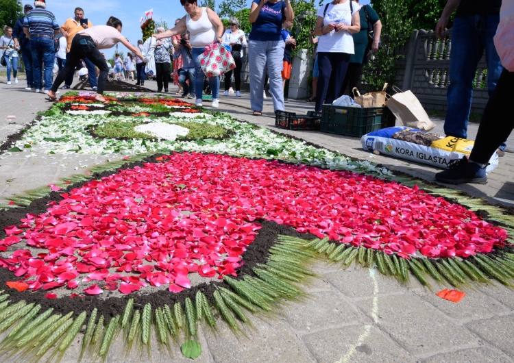tworzenie dywanu kwiatowego w Spycimierzu Polskie tradycje kwietnych dywanów na procesję Bożego Ciała na liście Dziedzictwa Kulturowego Ludzkości UNESCO