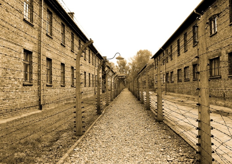 Auschwitz Sprawa rzekomych „naklejek z Cyklonem B dla Rosjan” w Auschwitz. Jest reakcja Muzeum [FOTO]