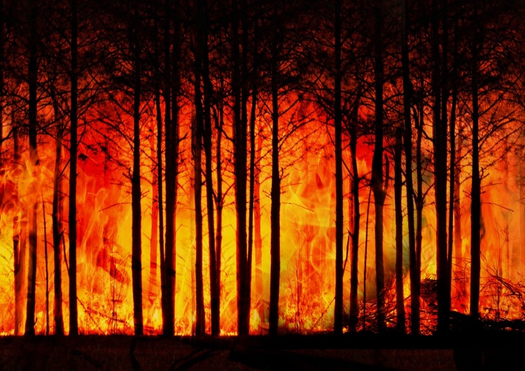  Problemy Rosji. Pożary strawiły milion hektarów 