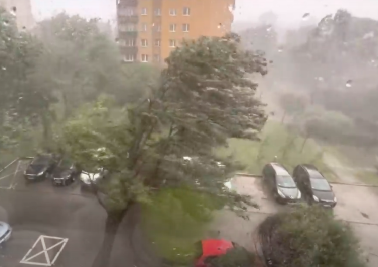  Kraków: Wiatr po prostu wyrwał drzewo z korzeniami. Jest nagranie [WIDEO] 