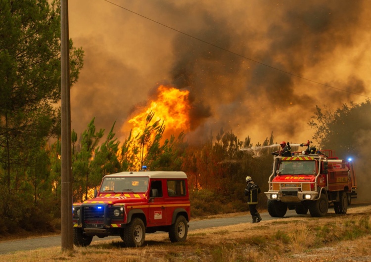  Francja: Płonie prawie 1000 ha lasów. Polska wysyła strażaków na pomoc