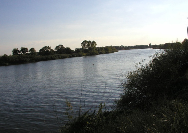 Rzeka Odra 