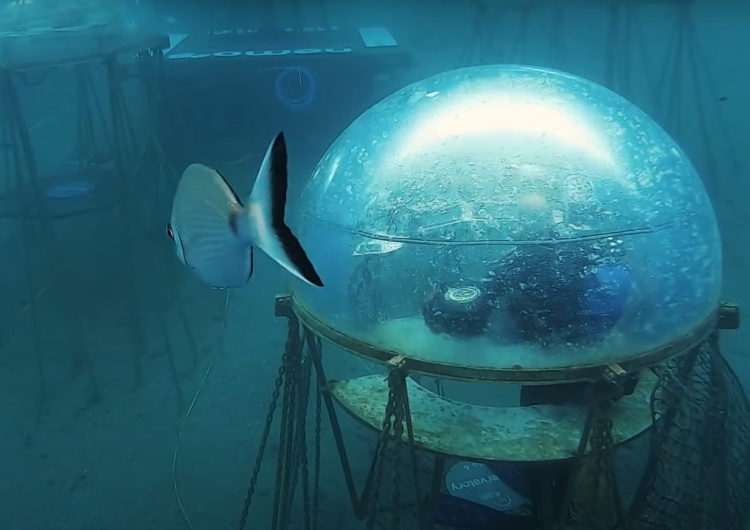 Podwodna farma Nemo's Garden Naukowy wieczór z dr Kaweckim: Truskawki, fasola, sałata i bazylia. Podwodna farma przyszłości [VIDEO]
