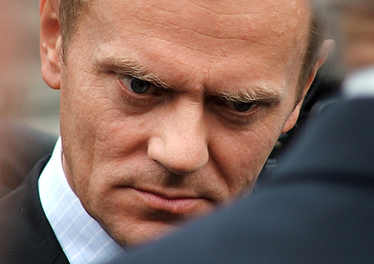 Donald Tusk „Tusk do dymisji!” Była działaczka Platformy po ujawnieniu zeznań wspólnika Falenty