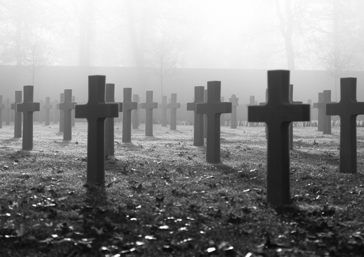 zdjęcie poglądowe Polskie cmentarze wojenne na świecie