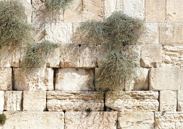 Ściana Płaczu. Jerozolima Ewangelia na XXXIII Niedzielę Zwykłą z komentarzem [video]