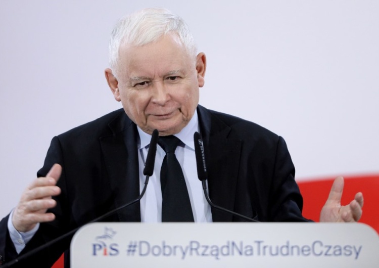 Jarosław Kaczyński w Jastrzębiu-Zdroju Prezes PiS zażartował z Giertycha. „Konie to bardzo miłe zwierzęta”