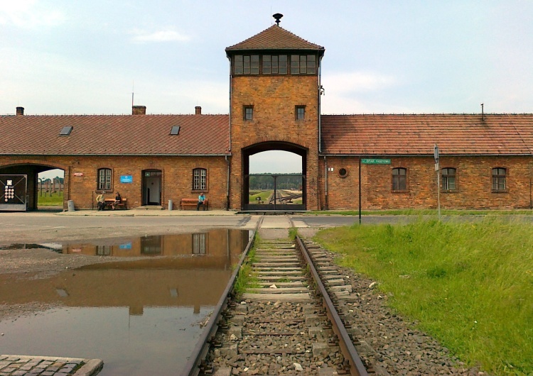 Muzeum Auschwitz Birkenau 