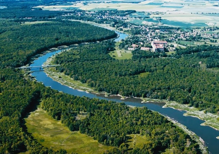 Odra, okolice Malczyc i Lubiąża  Katastrofa ekologiczna na Odrze? Niepokojące słowa wiceministra