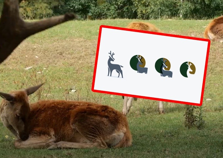 Znany grafik Andrzej Pągowski dokonał plagiatu? Afera wokół logotypu PZŁ