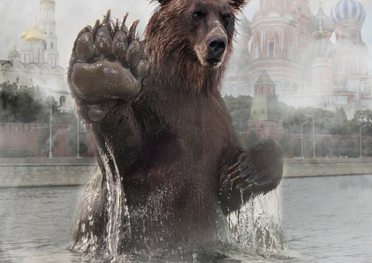 Rosyjski niedźwiedź “Foreign Policy”: czas na dekolonizację Rosji
