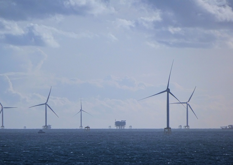 Farma wiatrowa na Morzu Północnym Holenderski wywiad: 