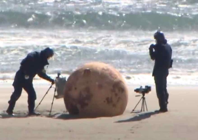 Dziwny obiekt wyrzucony na plażę Woda wyrzuciła na plaży podejrzany obiekt. Do akcji wkroczyło wojsko